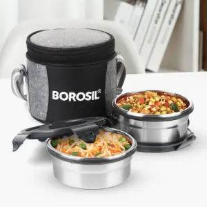 Borosil Stainless Steel Lunch Boxes with Carry Bag